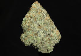 Lemon Skunk (22.67% THC)