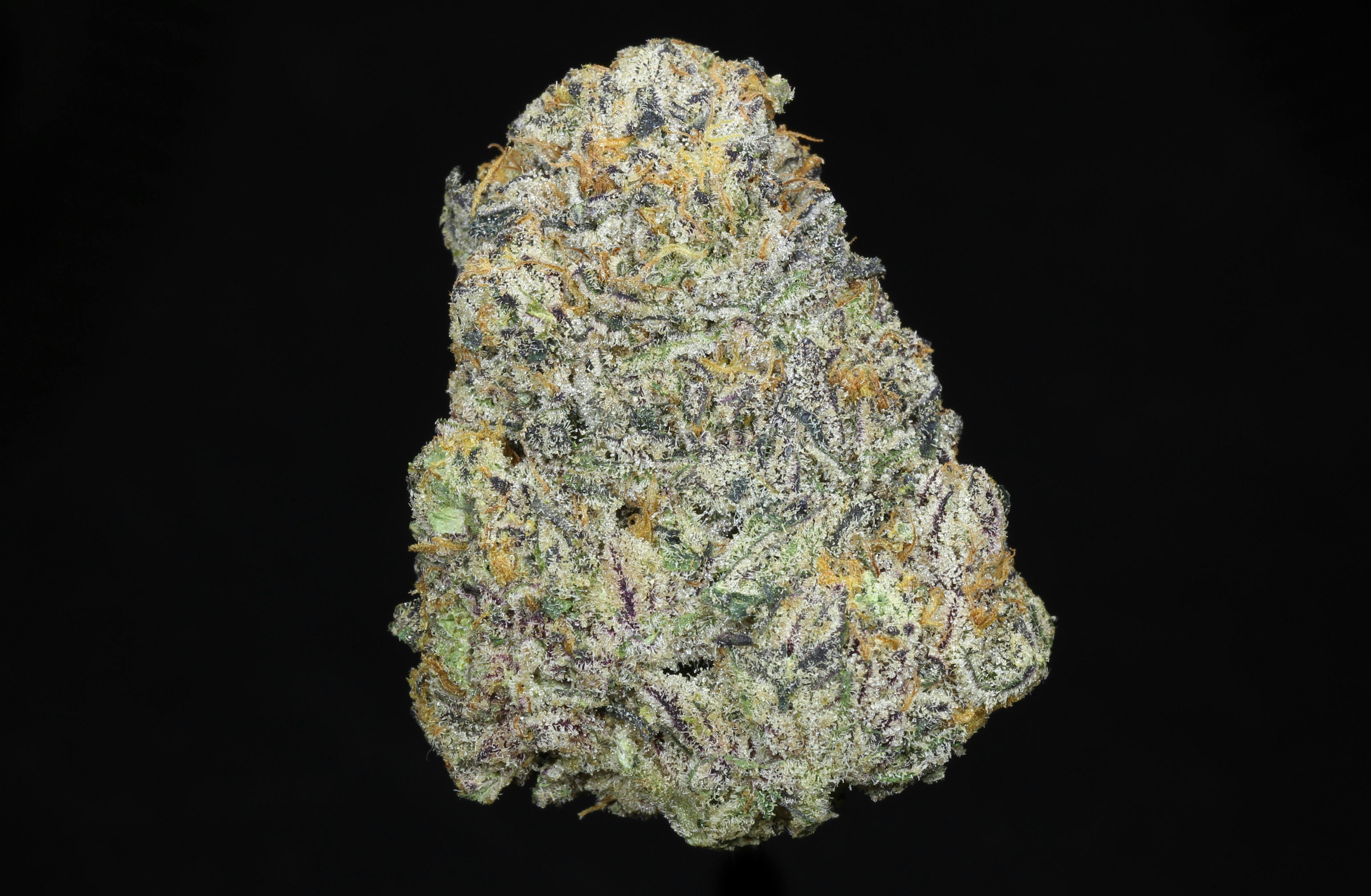 Gas Face (THC:29.81%)
