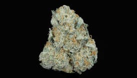 Gelato 33 (25.49% THC)