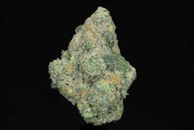 Potent Paul's Permanent Marker (THC: 27.39%)