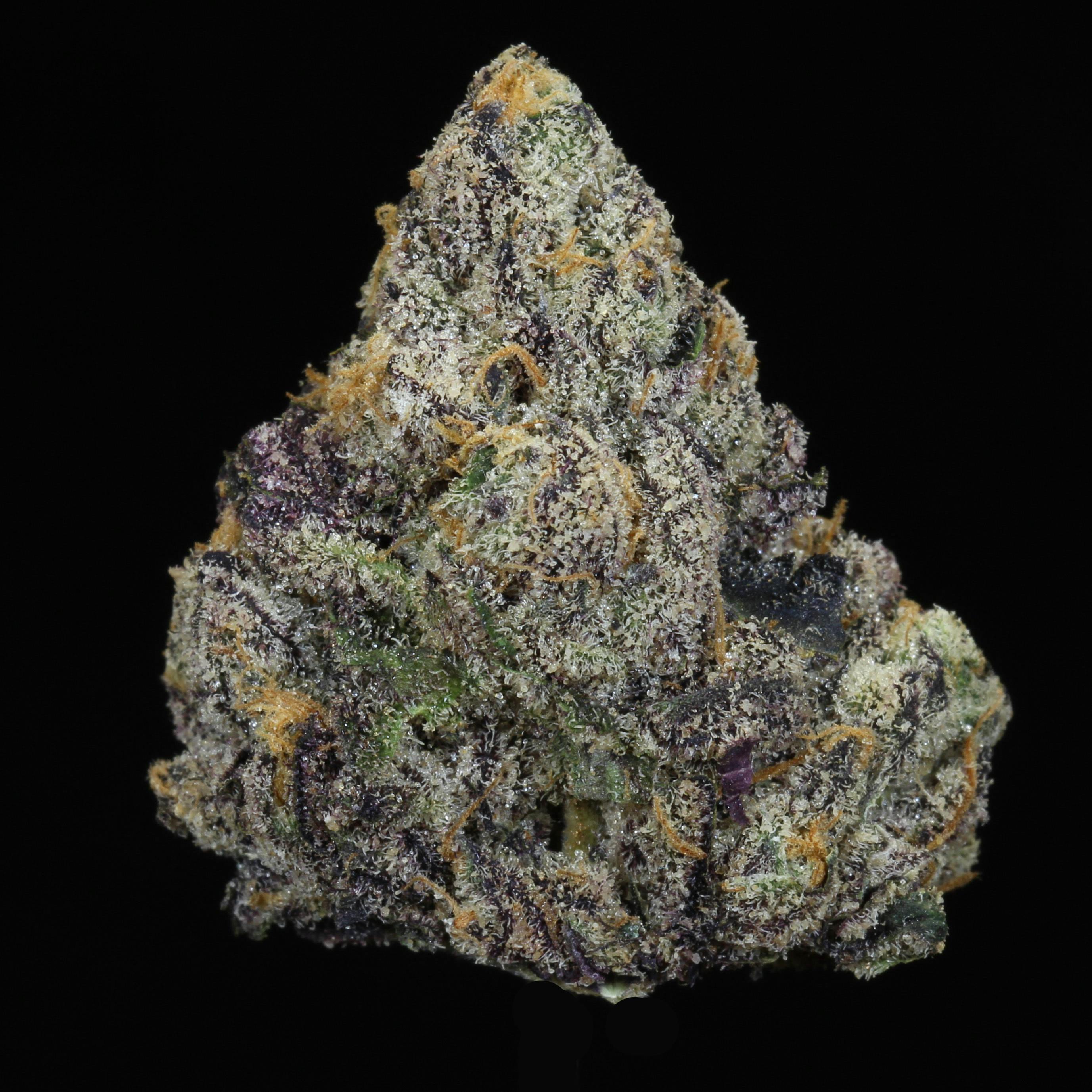 Purple Push Pop Flower (23.91% THC)