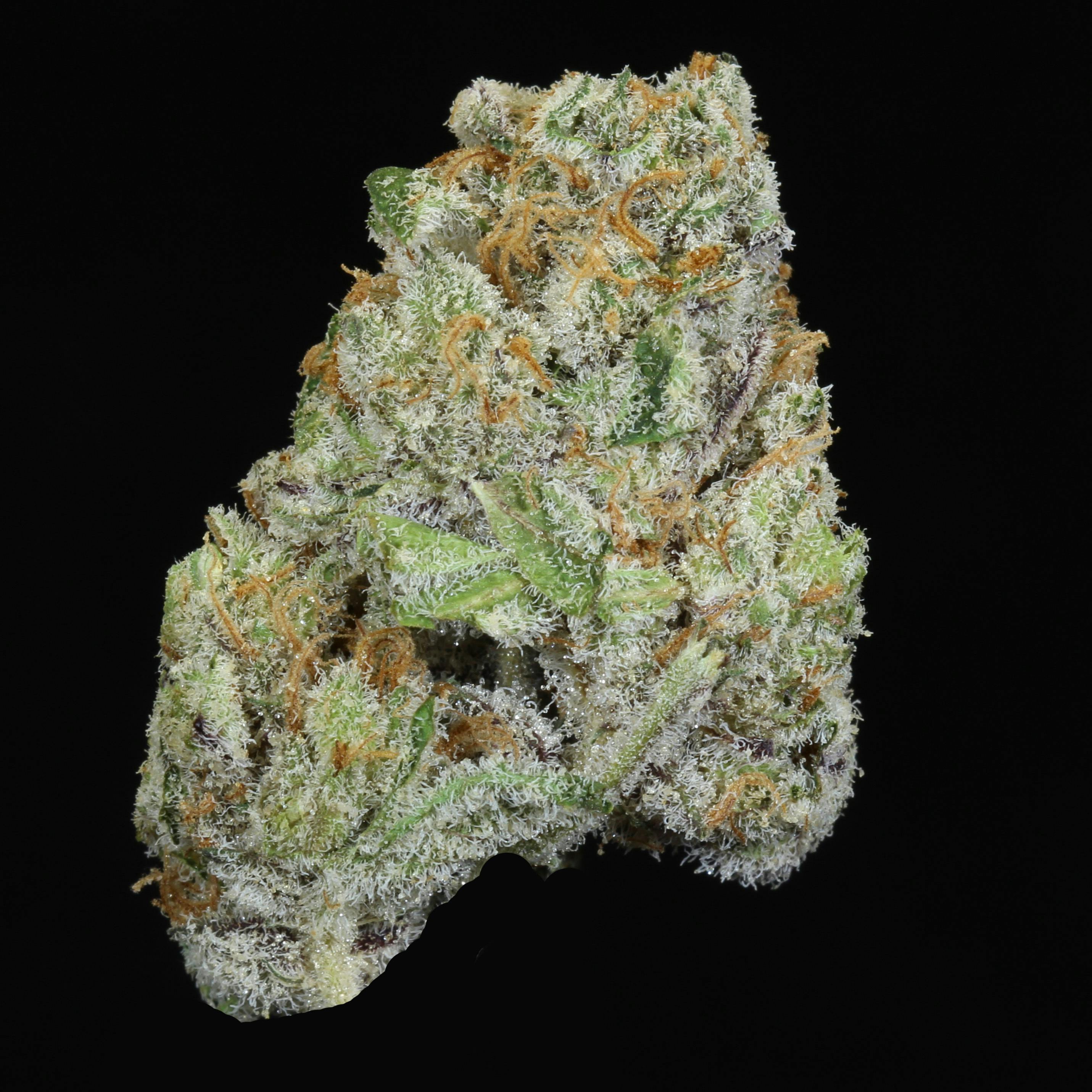GMO X Lemon OG Flower (20.20% THC)