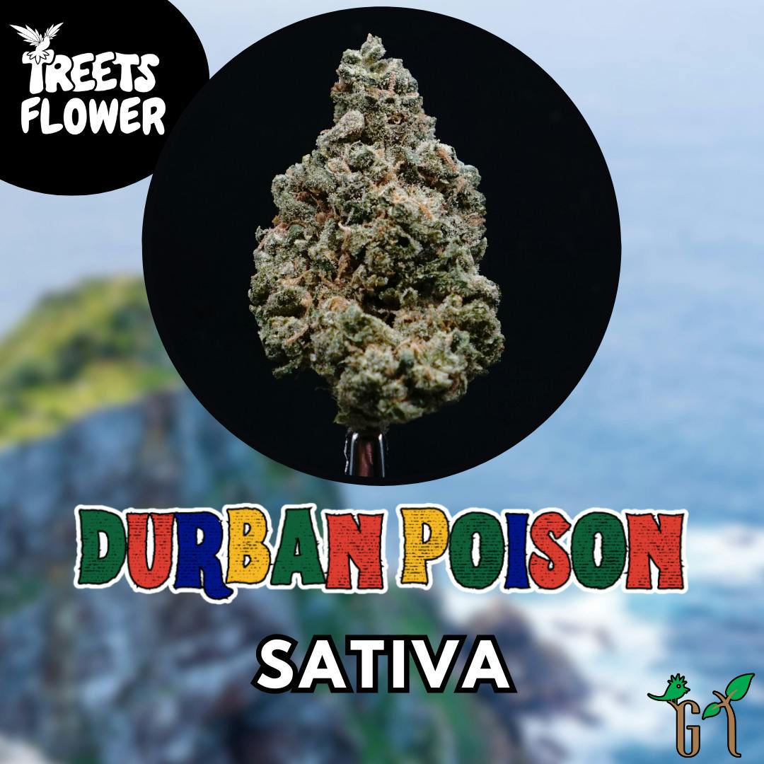 Flower - Treets Flower - Durban Poison - Silver Shelf