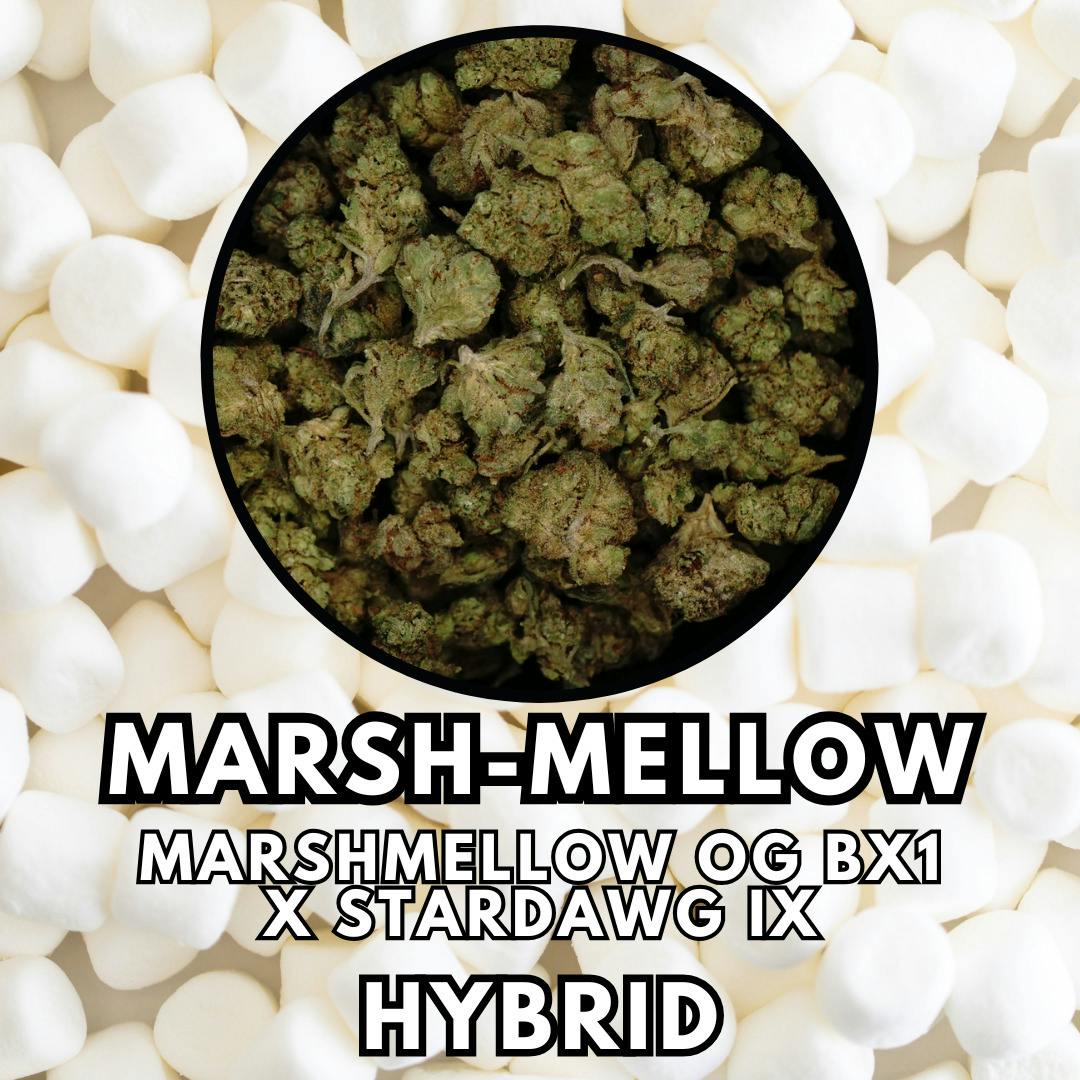 Flower - Marsh-Mellow - Deal Tier