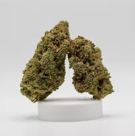 RR - Sativa - AK 47 - 3.5g (5237)