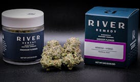 RR - Sativa - Mimosa - 7.g (9633)