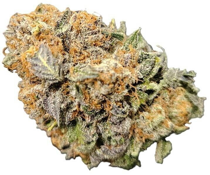Sc Queen City Og 1419
