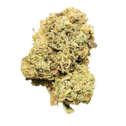 NLF - Satva - Triangle Tangie Bud - 3.5g - (0283)