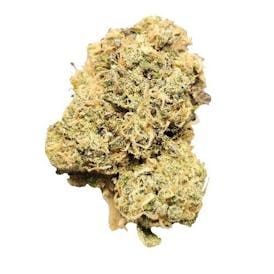 FC - Hybrid - Cheese Berry - 0.5g Pre roll (2318)