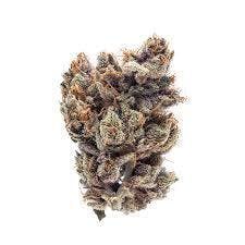 MAX - Hybrid - Plum Crazy - 3.5g (4374)
