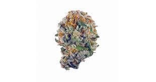 Max Caribbean Cookies 4126
