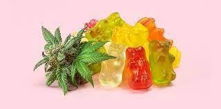 Platinum Vape | Blue Razz | Live Resin Gummies | 200mg | 10ct | 20mg/each at West Coast Meds Recreational Dispensary.