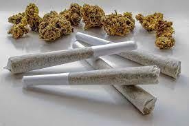 Truffle Cake | Joint | 1g by Freedom Green
