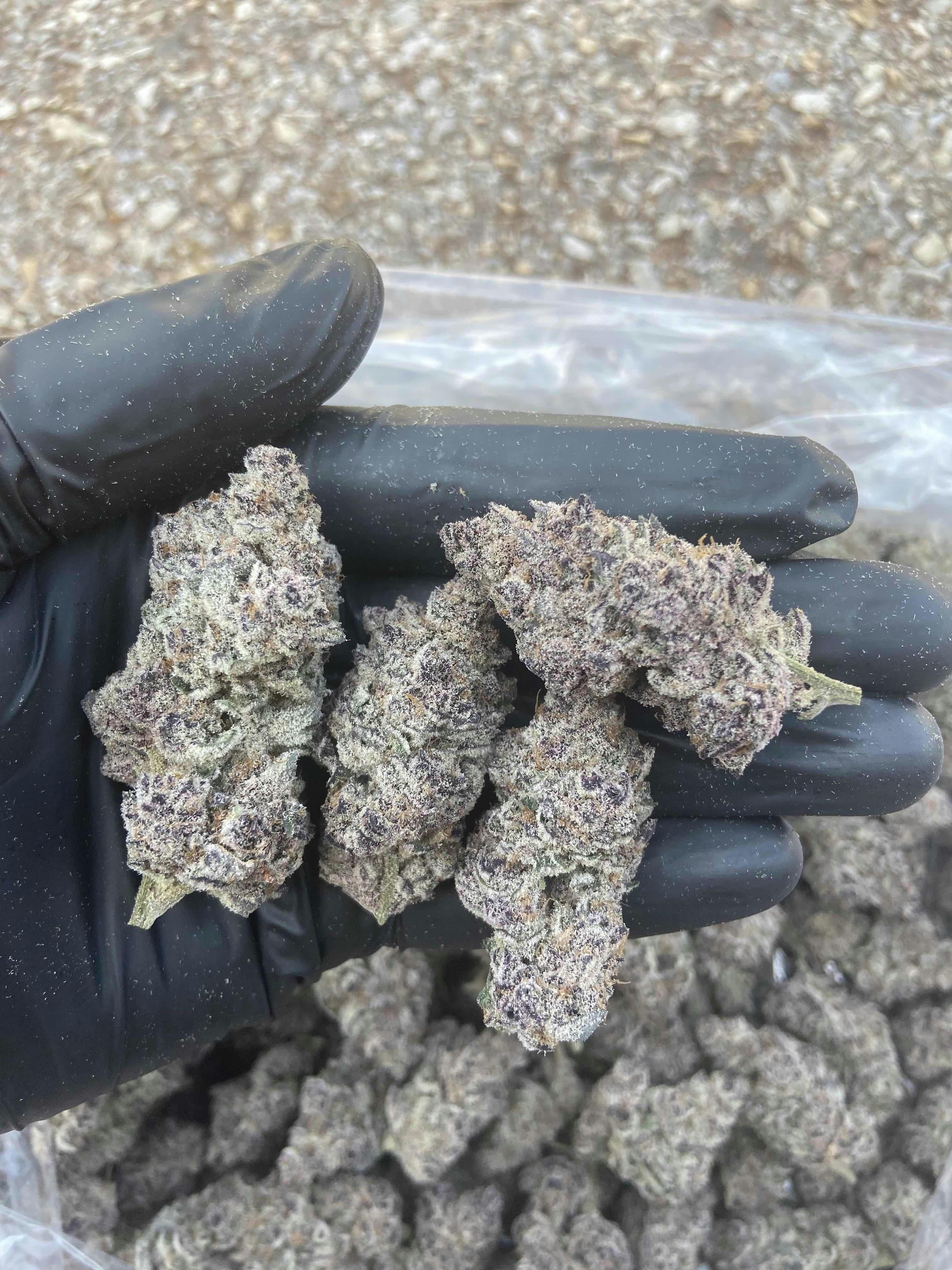 Super Buff Cherry | Flower | Hybrid | bigs