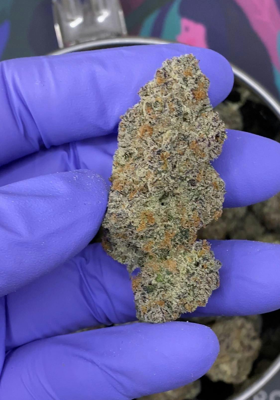 Blossom - Big Buds - Purple Milk
