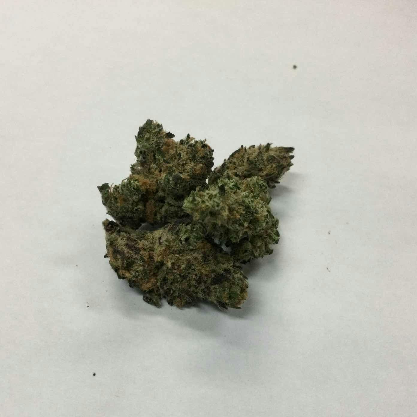 Blossom Bigs | White Chocolate| hybrid