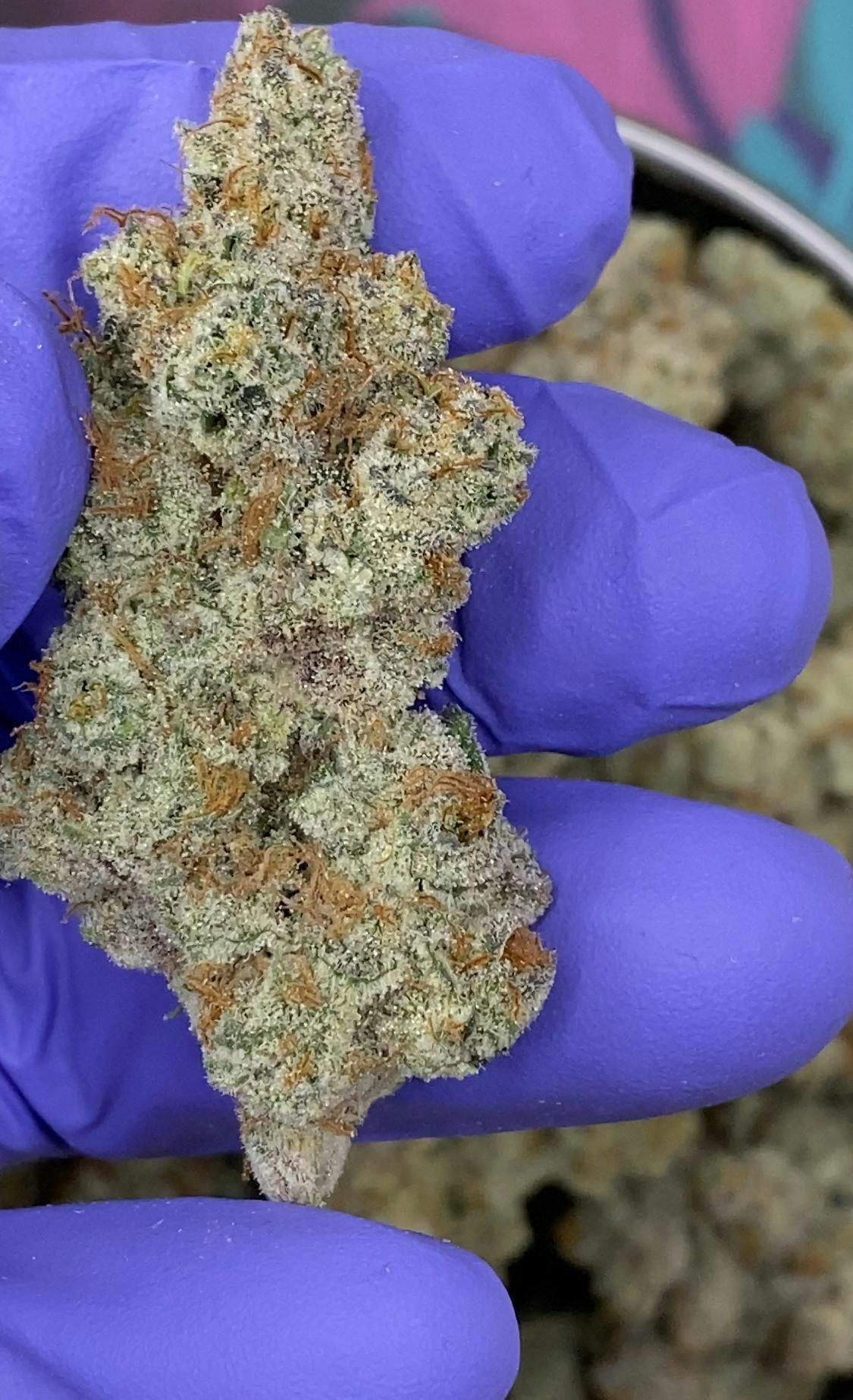 BLOSSOM Bigs | Golden Pineapple | flower