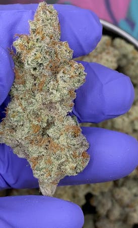 BLOSSOM Bigs | Golden Pineapple | flower