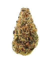 Blossom M Buds - Sugar Cane