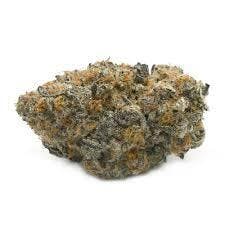 Nomad |Permanent Marker-Bud-Popcorn