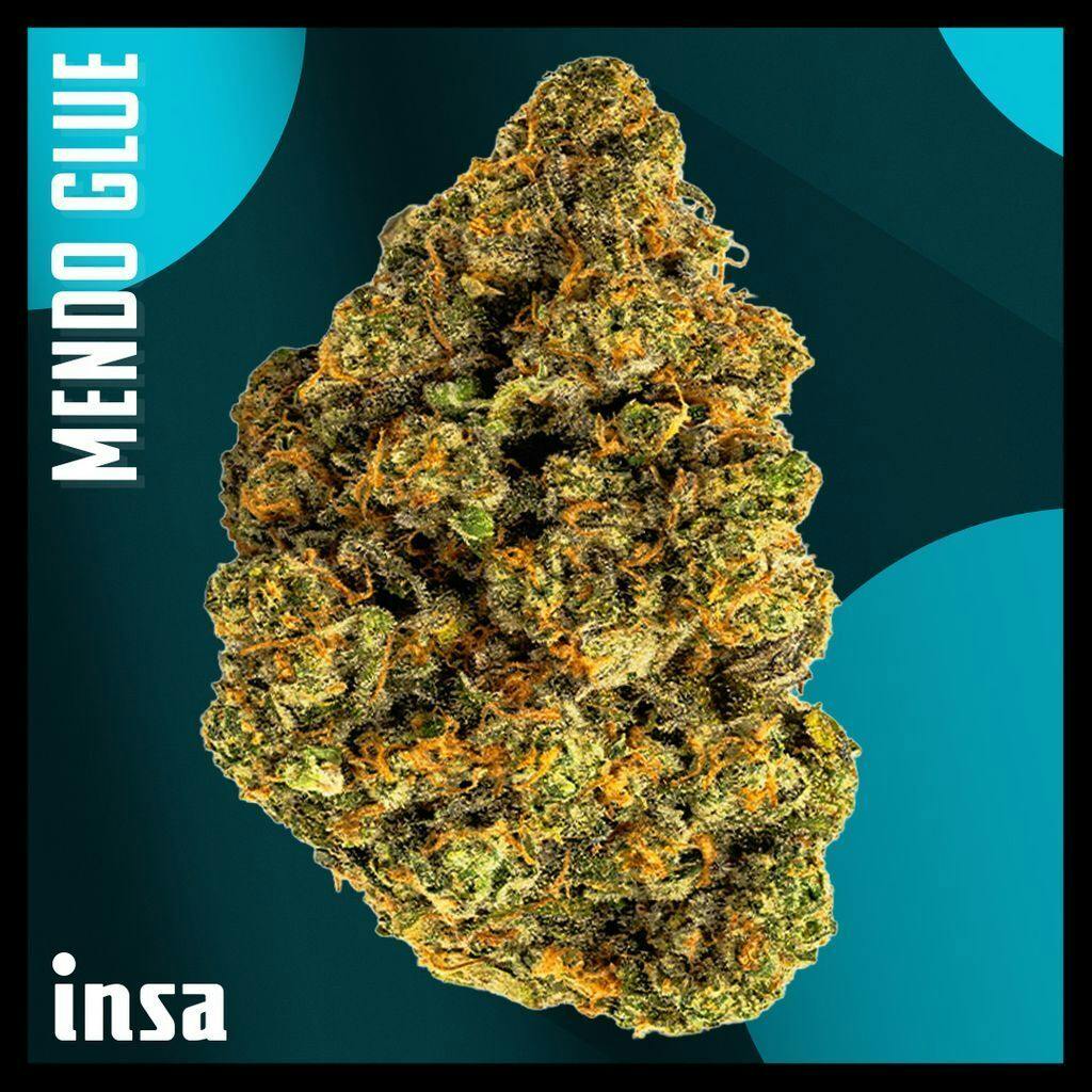 INSA Mendo Glue Whole Flower 14g