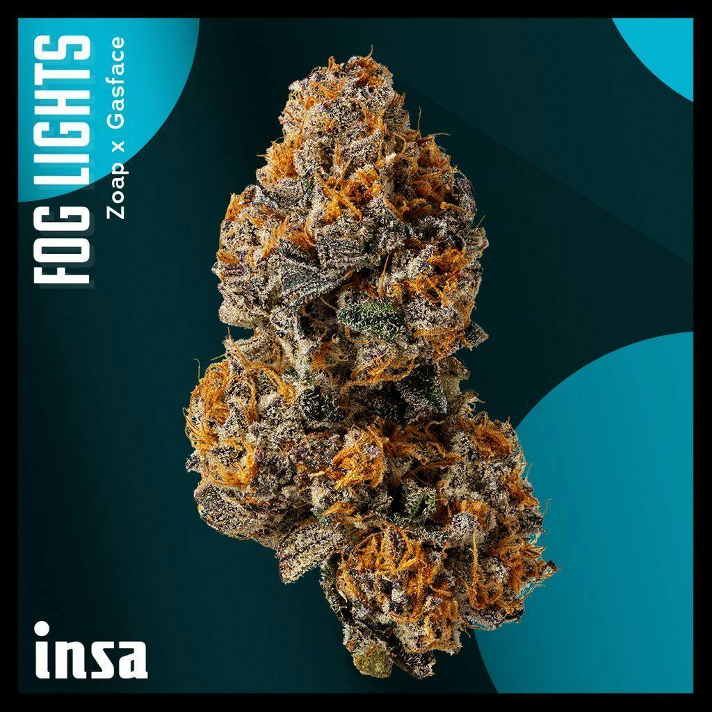 INSA Fog Lights Whole Flower 14g