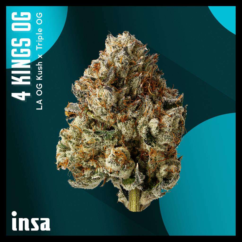 INSA 4 Kings OG Whole Flower 14g
