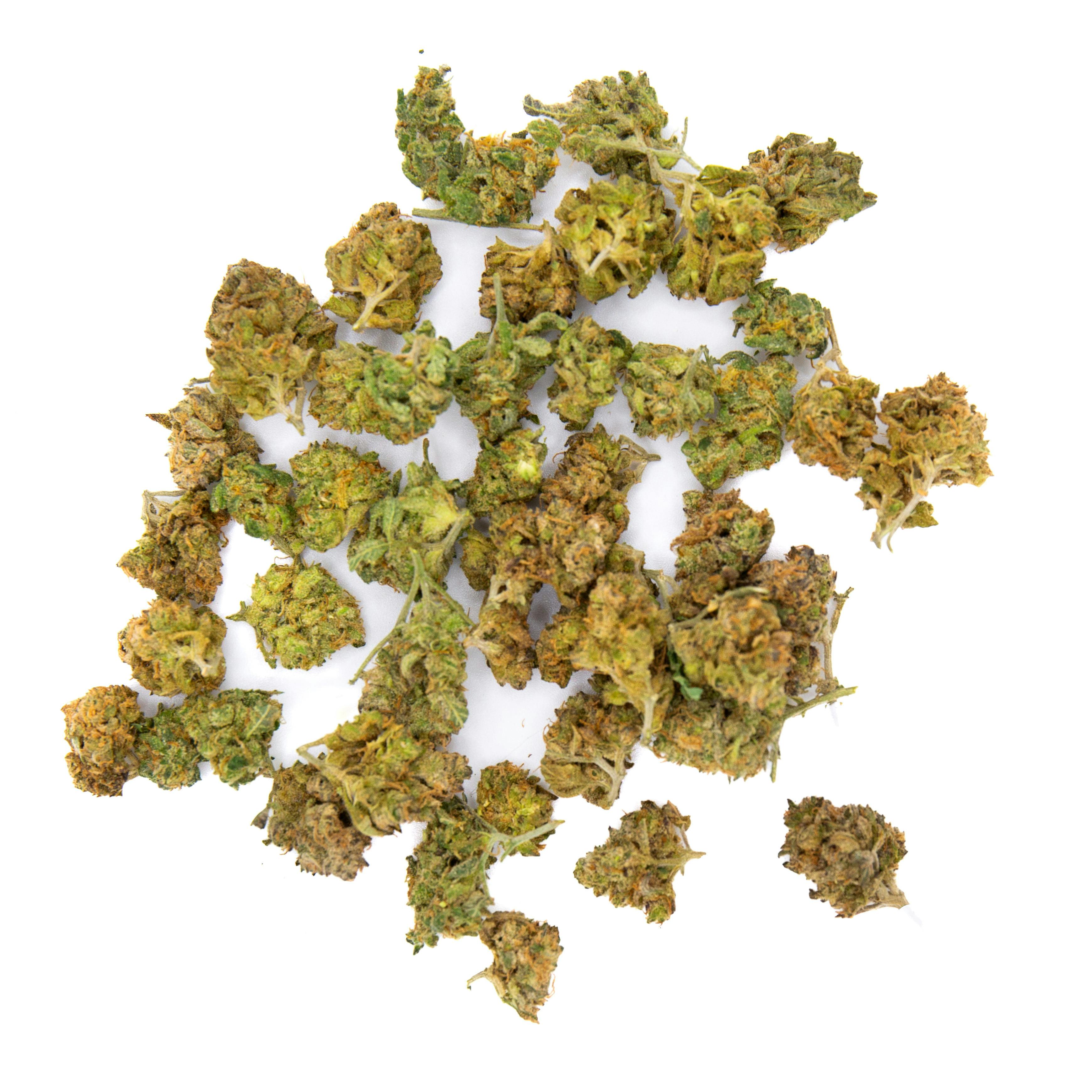 Doctor Goodtrade Deli Style Deputy Diesel at Peace Pipe Cannabis & Trading Post