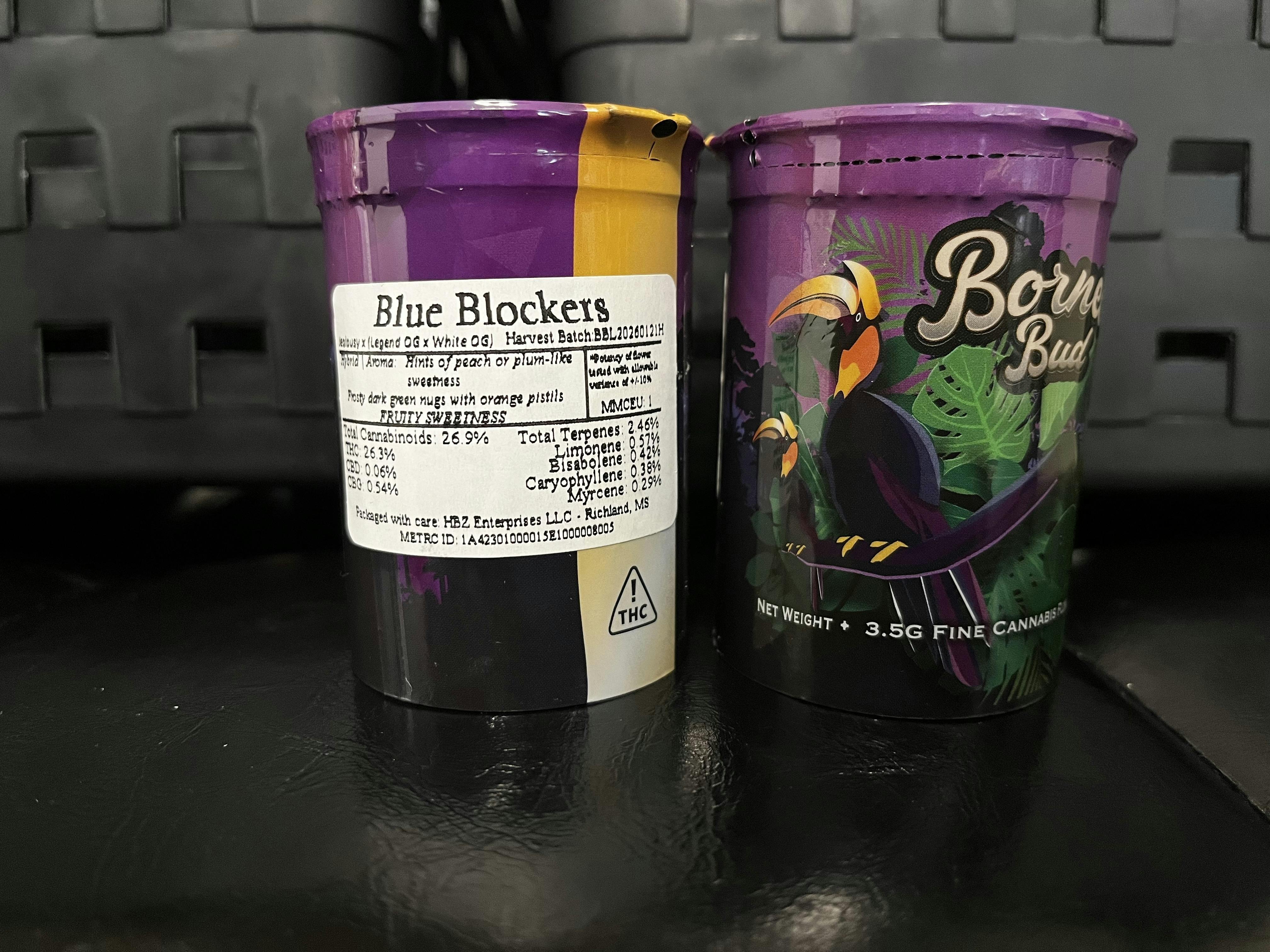 Pop Top Blue Blockers