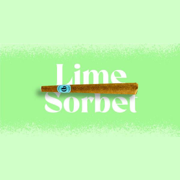 Doinks Infused Blunt | Lime Sorbet 1g Rec