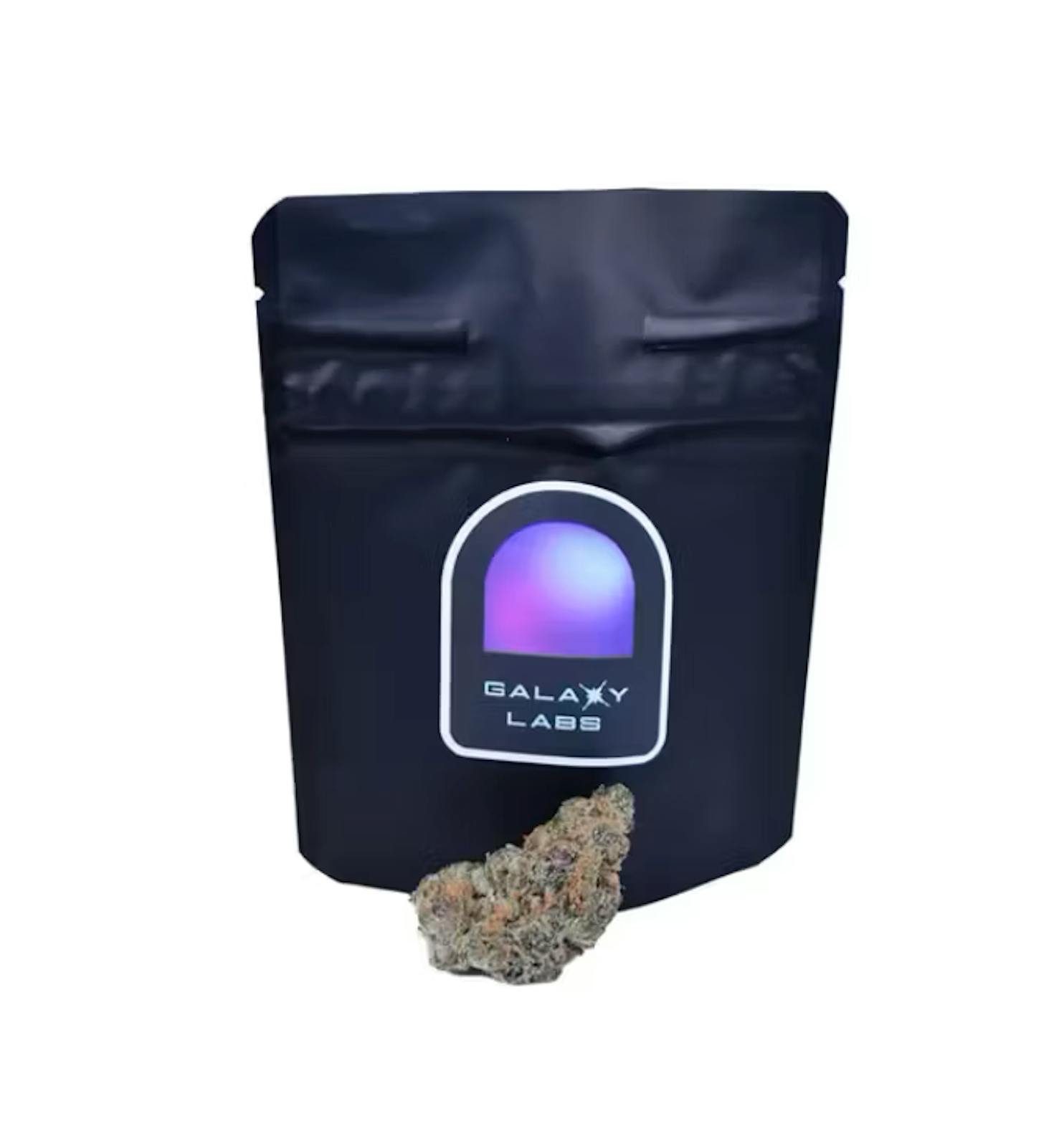 1G TAHITIAN FLIGHT FLOWER