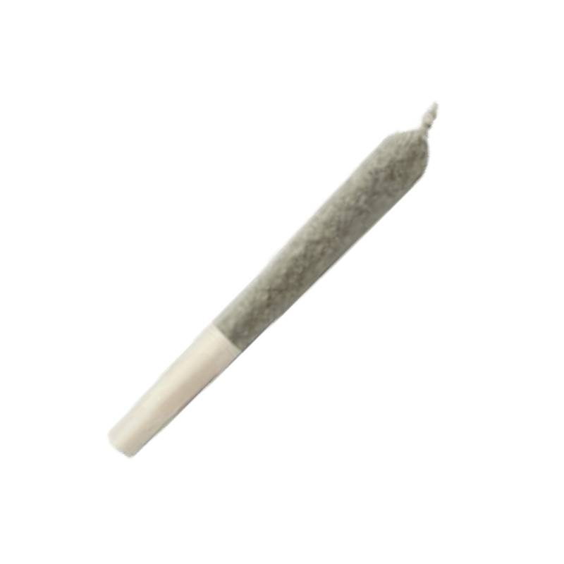 $3 Joint (R) - Lizard Burger
