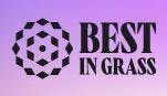 Best in Grass: Vape Pens