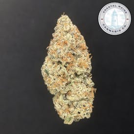 Black Valentine - 1/2 oz flower - Coastal Maine Cannabis