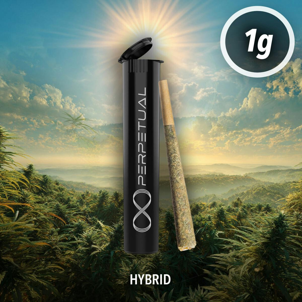 Pre-roll - Grape Gas