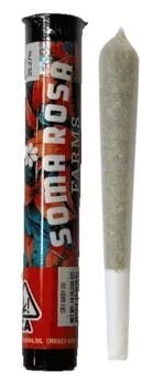 Banana Punch - 1G