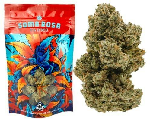 High Society - 28G