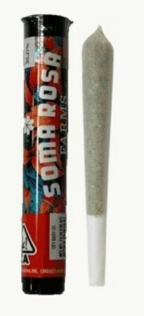 Applescotti - 1G