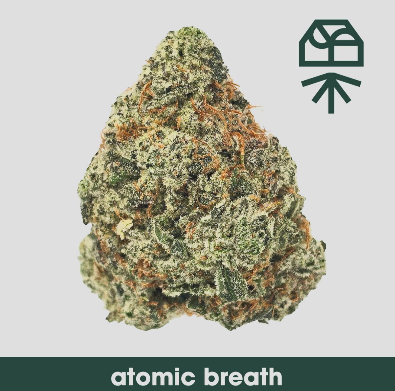 Atomic Breath Whole Flower