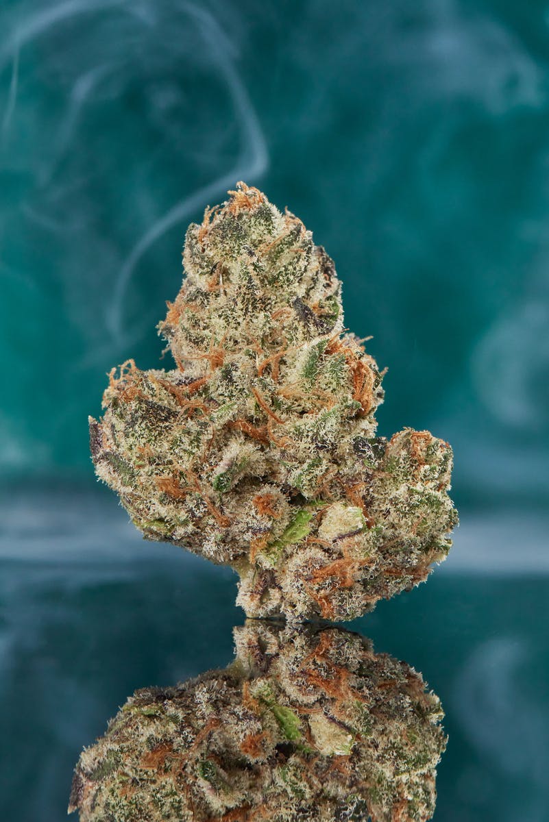 Orange Apricot x Mac: Enchanted Harvest