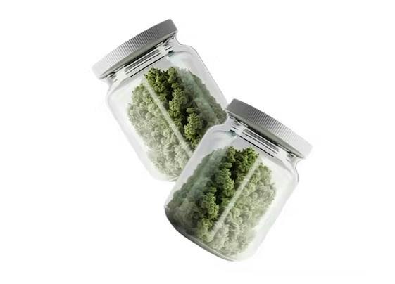 EARTHGROW DELI-WEIGHT SUPER LEMON HAZE at Earth's Healing North
