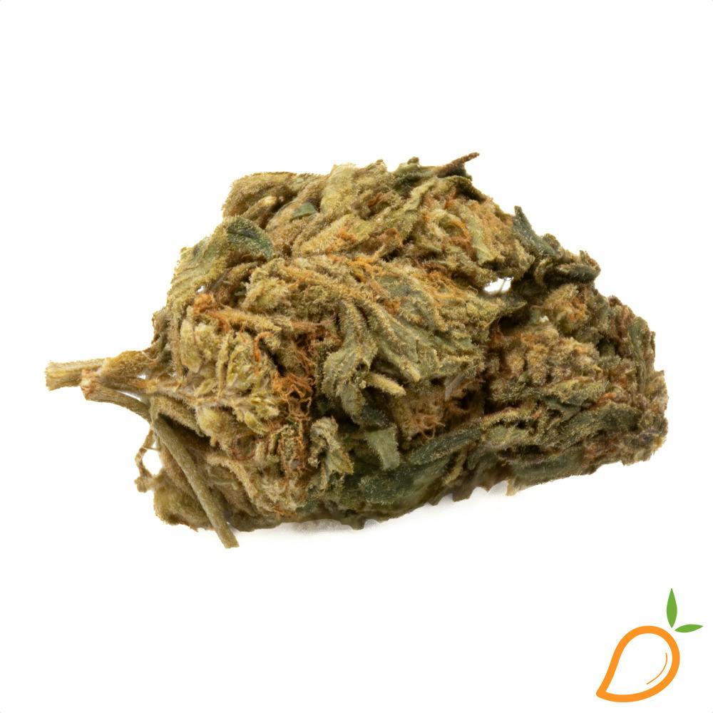 Lemon Cherry Sherbet - Grip at Mango Cannabis Weed Dispensary Lansing