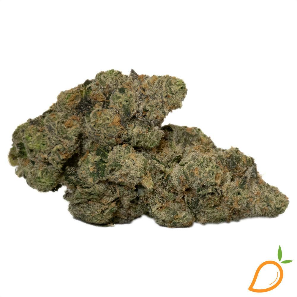 BowHouse | Gruntz | Flower