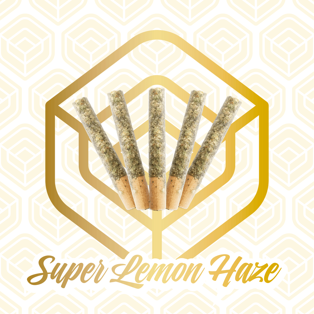 Jersey Smooth Diamond Dazed