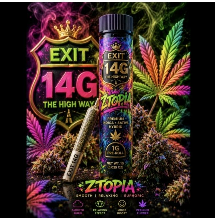 Exit Smoking Zoe Ztopia