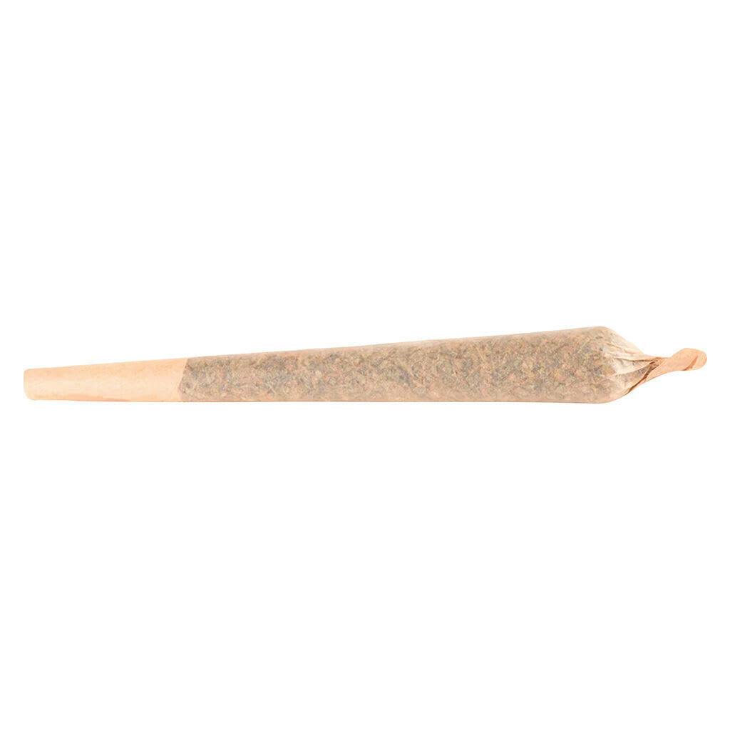 Runt Puncher Pre-Roll 1x1g Pre-Rolls
