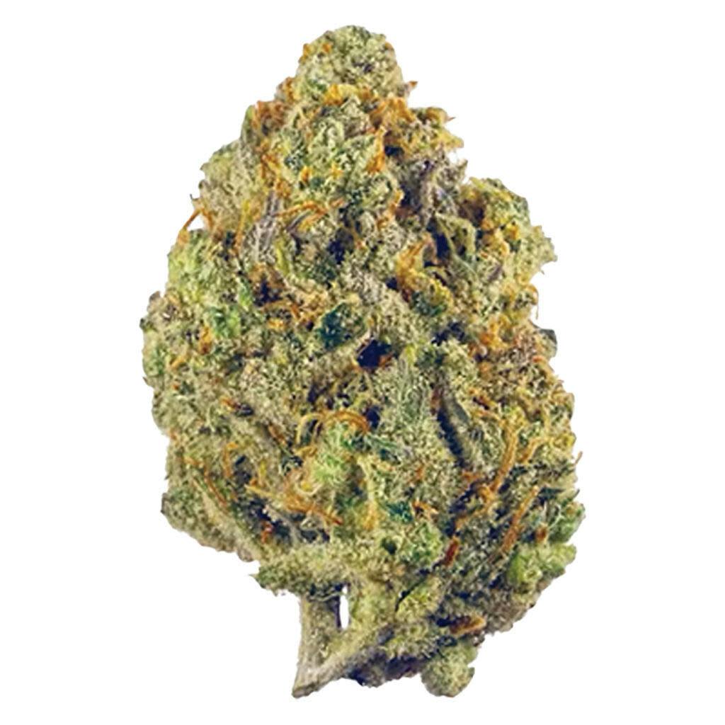 Potluck - Milk & Cookies 7g Dried Flower