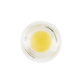Garlic Mints Live Rosin