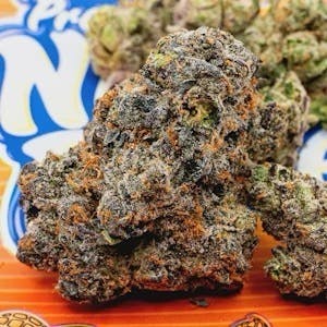 TEDS BUDZ — Nutter Butterz