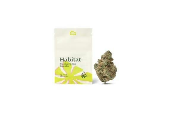 Green Habitat- Paloma 1g (H)